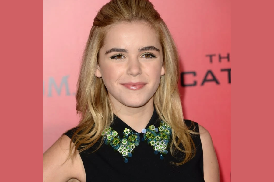 erin ann shipka