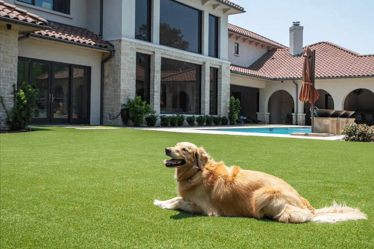Artificial Turf