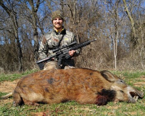 Hog Hunting