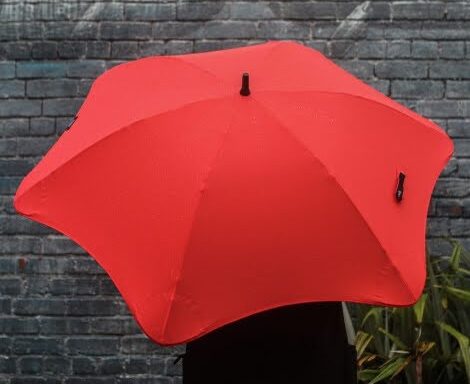Umbrella