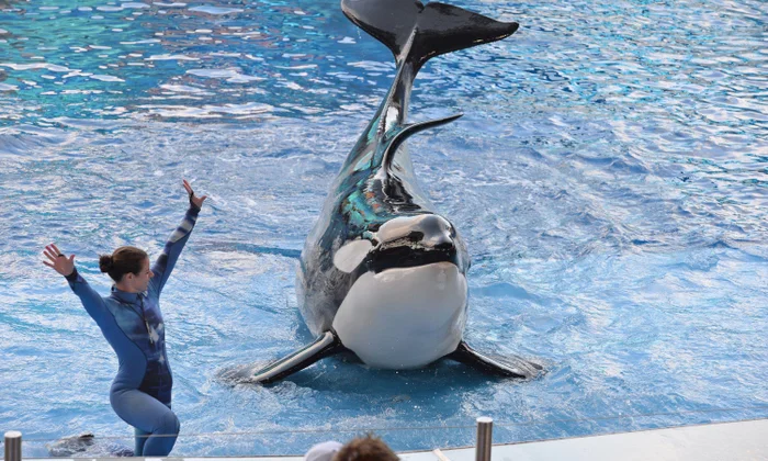Miami Seaquarium